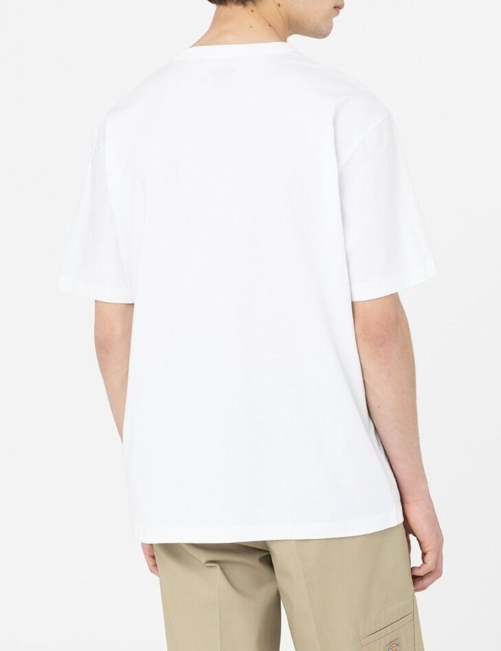 DICKIES T-Shirt Uomo Aitkin-White