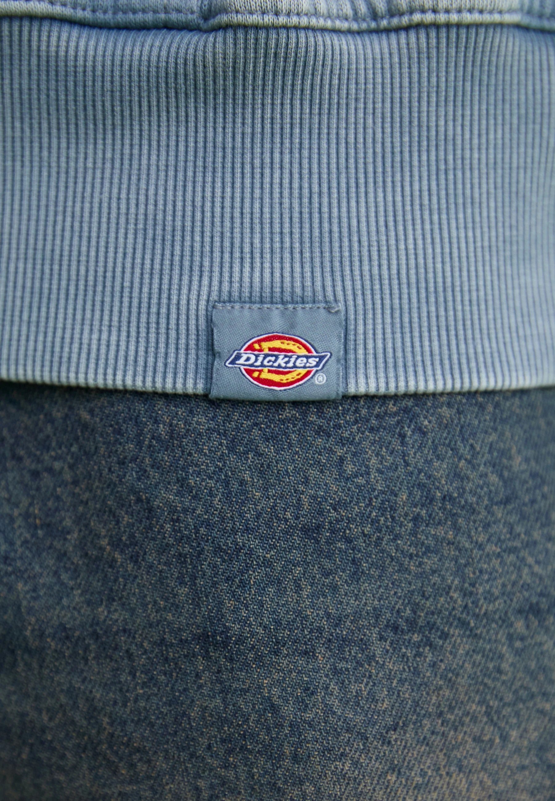 DICKIES Felpa Cappuccio Uomo Plentywood-Stormy Weather