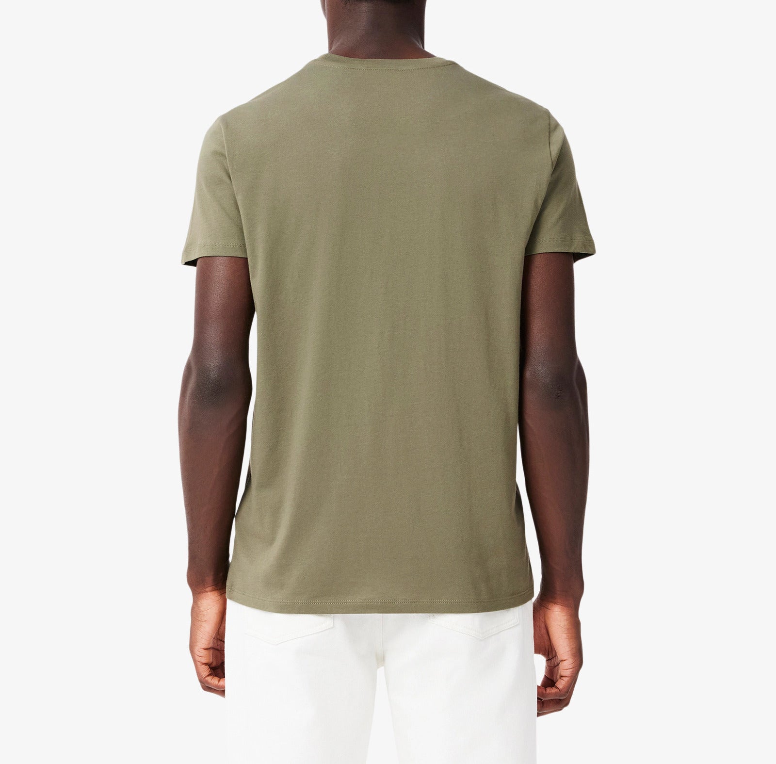 LACOSTE T-Shirt Uomo Cotone Pima-Verde Cachi